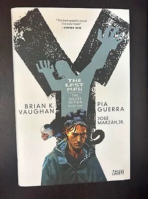 Y THE LAST MAN Deluxe Hardcover Volume 1 (Vertigo Comics 2008) -- OOP HC • $11.24