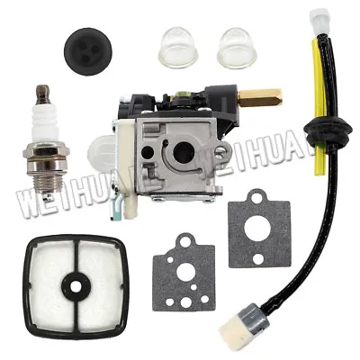 Carburetor Fuel Maintenance Kit For Echo SRM230 PAS230 PAS231 PE230 PE231 PPT230 • $13.96