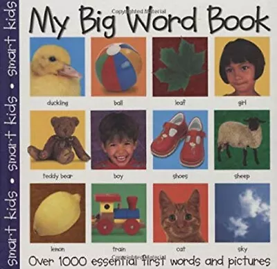 My Big Word Book : Over 1000 Essential First Words And Pictures R • $6.30