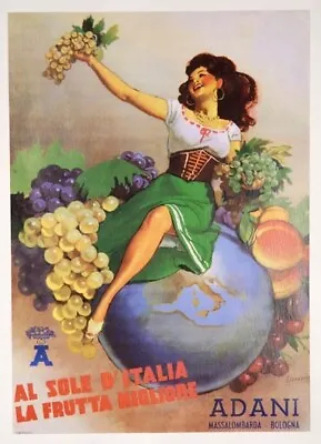 ADANI FRUITS By Gino Boccasile Original Vintage Poster On Linen C1950 ON LINEN • $175