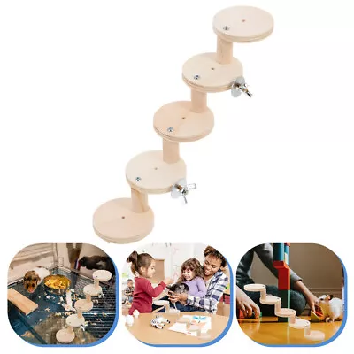 Chinchilla Cage Teething Toy: 5-Layer Ladder Accessories • £9.49