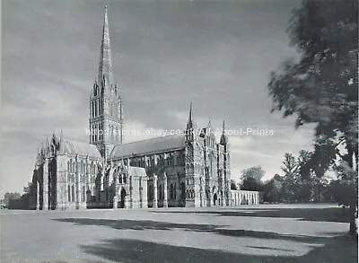 £3.29 • Buy Salisbury Cathedral Wiltshire Vintage Print Old Picture 1941 IHLE#10