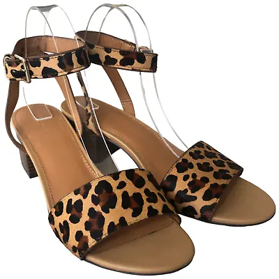 J.Crew Low Block Heel Sandals Leopard Calf Hair Women's Size 9.5 • $30