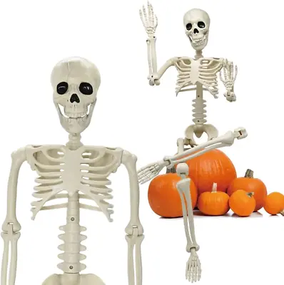 36  Halloween Skeleton Decorations 3FT Halloween Posable Skeleton Plastic Real. • $29.40
