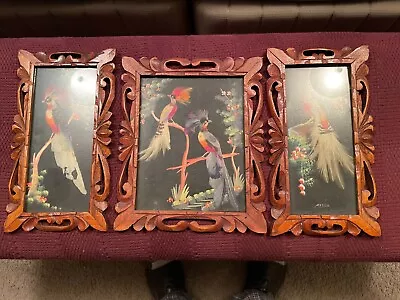 Set Of 3 1950's  Mexican Feathercraft Bird Picture Hand Carved Wood Frame  • $100