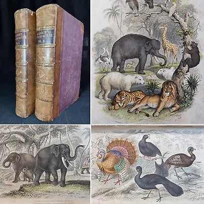 £160 • Buy 1860 History Of The Earth And Animated Nature COLOUR PLATES Goldsmith 2 Vol