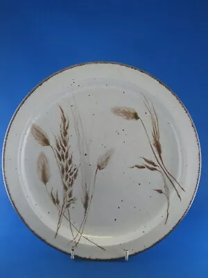 Midwinter Stonehenge Wild Oats Pattern Large Plate 10.5  In Excellent Condition • £7