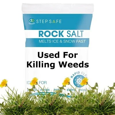 Rock Salt To Be Used As Weed Killer 20kg Brown Eco Friendly Pet Safe Cost Effect • £17.95