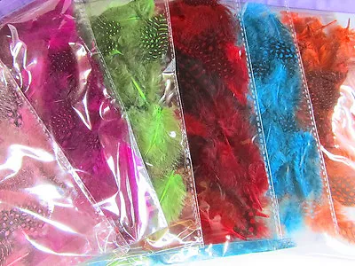 40 (4 Gram) Dyed Guinea Dot Feather Assorted Size/Craft/Decoration/Trim V4-Color • $3.99