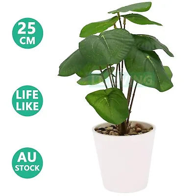 Artificial Pilea Peperomioides Potted Plant Bonsai Floral Home Office Decor 25cm • $19.99