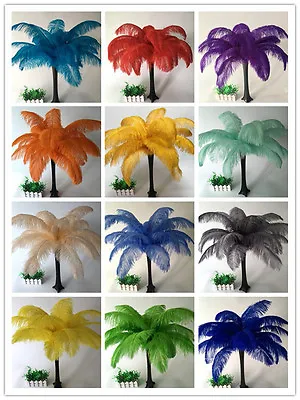 $699.99 • Buy 10-100pcs 16 Colors Ostrich Feathers 6-30inch/15-75cm Carnival Diy Costume Mask