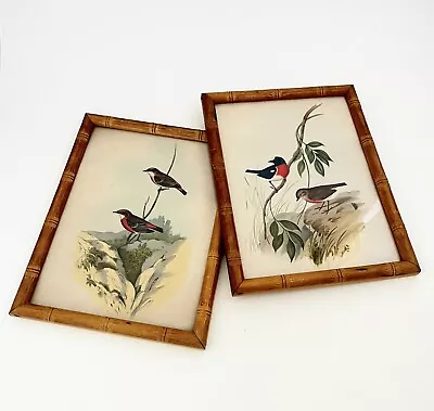 Vintage 2  J. Gould Bird Prints Lithograph Art Faux Bamboo Wood Frame 6.5x8.5” • $48