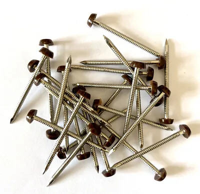 £3.39 • Buy 50 X 40mm Brown UPVC Plastic Headed Pins Nails Poly Top A4 Stainless Steel