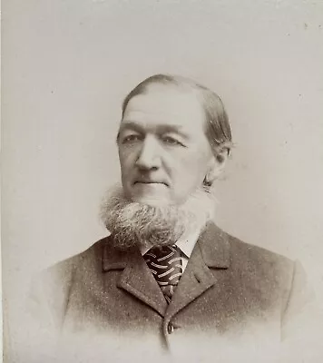 Neck & Chin Beard Older Man Auburn New York Cabinet Card Antique Vintage Photo • $10.36