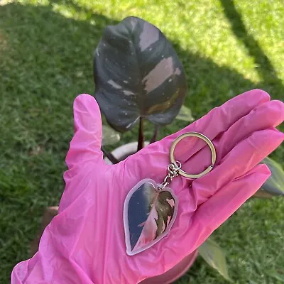 Pink Princess Philodendron Acrylic Keychain  • $14.95