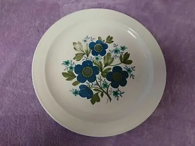£1.99 • Buy Vintage Barratts Of Staffordshire Floral Dinner Plate