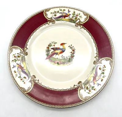 VTG Large 10-5/8  Dinner Plate Chelsea Bird Red By MYOTT STAFFORDSHIRE #2380 • $32.95