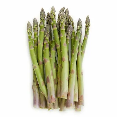 Mary Washington Asparagus Seeds | Non-GMO | Heirloom Vegetable Garden Seeds • $1.98