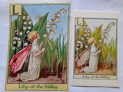 L -  LILY-OF-THE-VALLEY - Alphabet Flower Fairies  Michael Miller & Post Card • £5