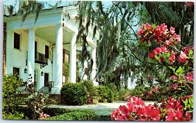 Postcard - Boone Hall Plantation - Mount Pleasant South Carolina • $3.46