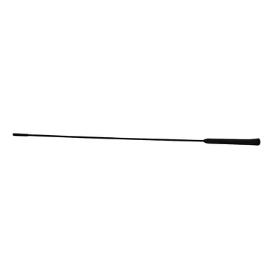 Genuine Ford Aerial Antenna Replacement Rod For Ecosport Fiesta Focus K • $29.43