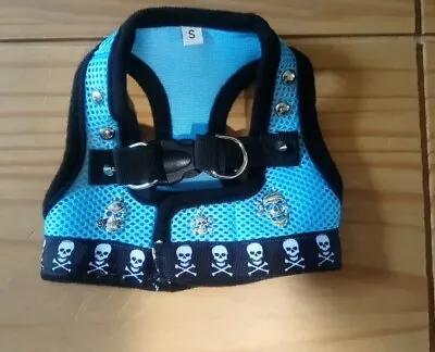 Chihuahua Size Small Dog Puppy Sky Blue Skull &   Crossbone Harness  • £10.99