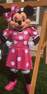 Minnie Mouse Adult Costume • $325