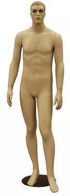 Adult Male Realistic Short Height Fleshtone Full Body Mannequin With Molded Hair • $327.61