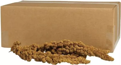 Kaytee Gold Spray Millet For Birds 5lbs • $45