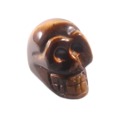 1  Mini Crystal Skull Natural Tiger Eye Healing Stones Skull Crystal • $0.99