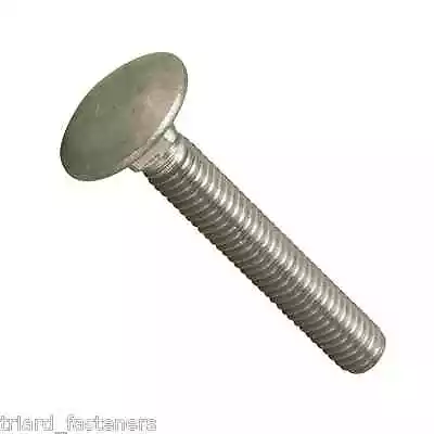 M5 X 20 Cup Square Carriage / Coach Bolts Stainless DIN 603 - 10 PACK  • £4.30