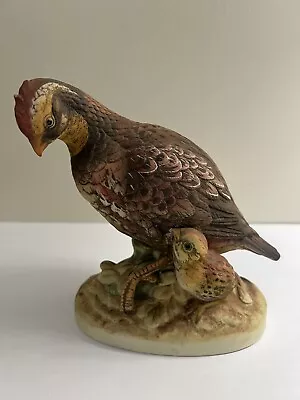 Vintage Andrea BOB WHITE & Chick By Sadek Porcelain Bird Figurine Hand Painted • $15