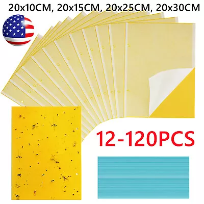 12-120PCS Sticky Fly Trap Paper Yellow Traps Fruit Flies Insect Glue Catcher • $49.95