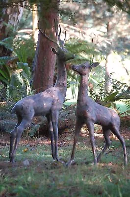 Life-Size Spotted Stag With Antlers Garden Sculpture - Aluminium Ornament • £400