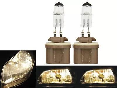 Halogen 880 27W 3800K Stock Two Bulbs Fog Light Replacement Plug Play Lamp Fit • $8.25