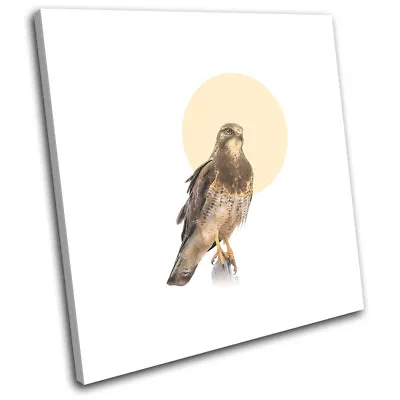 Falcon Bird Of Prey Modern Animals SINGLE CANVAS WALL ART Picture Print • £19.99