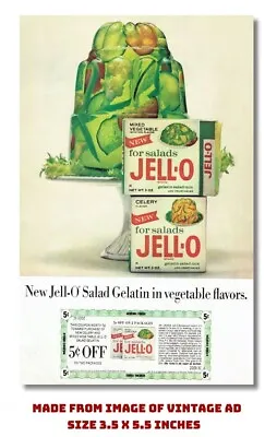 Magnet Vegetable Flavored Jello Jello Salad 3.5 X 5.5 From Old Vintage 1965 Ad • £6.70