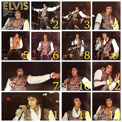 Elvis Presley 8x10  Color Photograph Concert Prints - 14 Rare Shots - May 1977 • $8.99