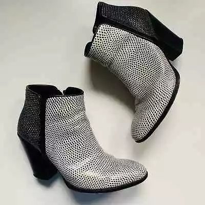 Giuseppe Zanotti Shoes Pebbled Leather Ankle Booties In Black • $45