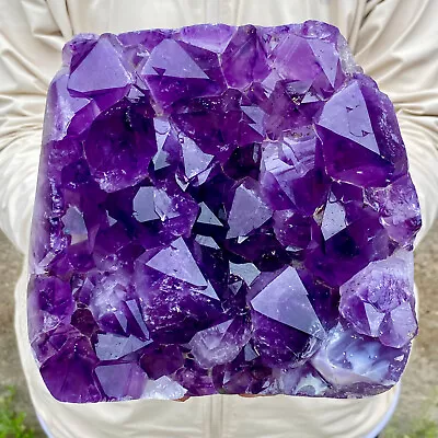 10.58LB Natural Backbone Amethyst Quartz Crystal Mineral Specimen • $0.99