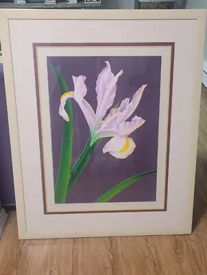 Brian Davis Framed Art Flower 43  X 35  IRIS III #147/250 • $1500