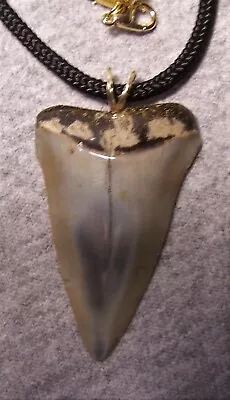 Mako Shark Tooth Shark Teeth Necklace Fossil 1 7/8   Wireless Polished Megalodon • $35