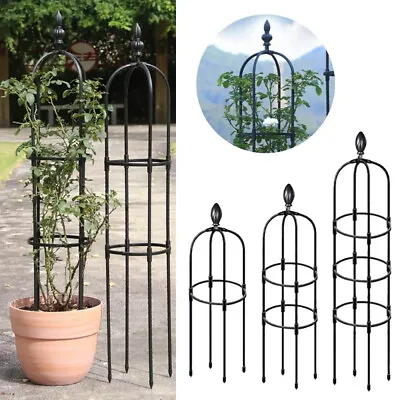3 Sizes Climbing Plants Metal Garden Obelisk Strong Tubular Plant Cage Support • £12.99