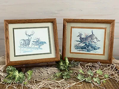2 Vintage Deer Wild Life Art Prints Signed Louis Ramer Framed Deer Decor • $20