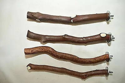 Manzanita Bird Perches  Single Branch  With Hardware  Set Of 4 *** Sweet Deal • $21.99