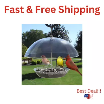 Dome Top Bird Feeder For Seed Squirrel Proof Songbird Bluebird And More • $19.95