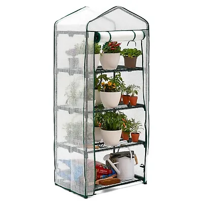 4 Tier Mini Greenhouse Grow House Reinforced PE Cover Outdoor Garden Plants  • £28.99