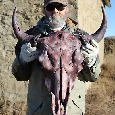  Buffalo Bison Head Skull Horns  • $1221.86