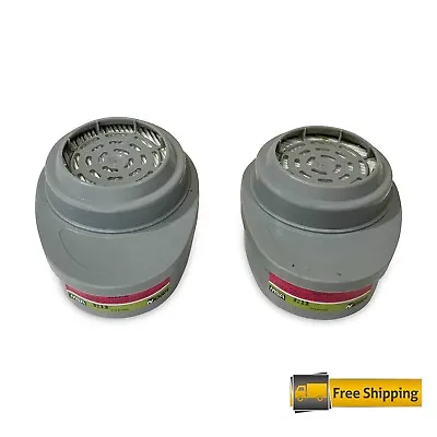 Msa Safety Works Respirator Replacement Cartridges 00817667 P100 • $24.95