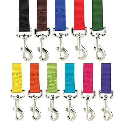 Casual Canine Dog Puppy Nylon Leash  11 Colors 5/8  1  Wide  4 6 Foot Lead • $12.03